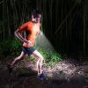 Lighted Runner- Running Light